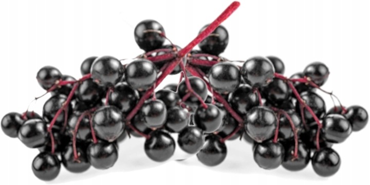 Sok z czarnego bzu 100% OWOCÓW Tłoczony NFC 1,5L