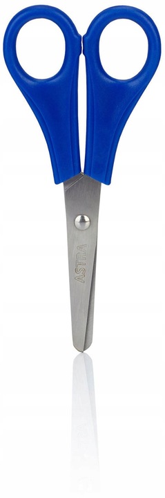 WYPRAWKA SZKOLNA ASTRA XL 22 ELEMENTY klasa 4-8+ 20x ZESZYT W KRATKĘ A5 60k