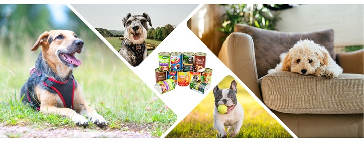 Mokra karma dla psa Puszki Zestaw Mieszany Smaków pakiet 20 szt. x 400g