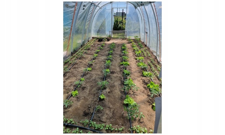 LINIA KROPLUJĄCA NAWODNIENIE KROPELKOWE WĄŻ DO PODLEWANIA ZESTAW 50m+ 56el.