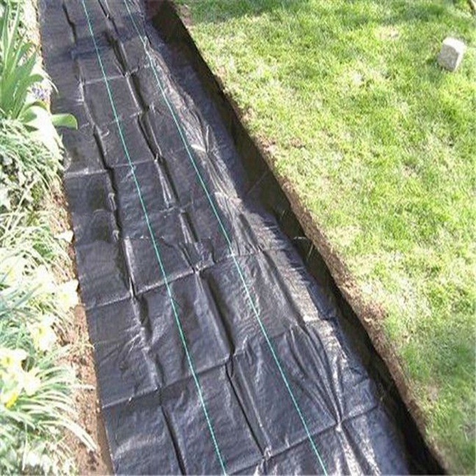 Agrotkanina mata pod kamień korę 4 m x 5 m Mocna