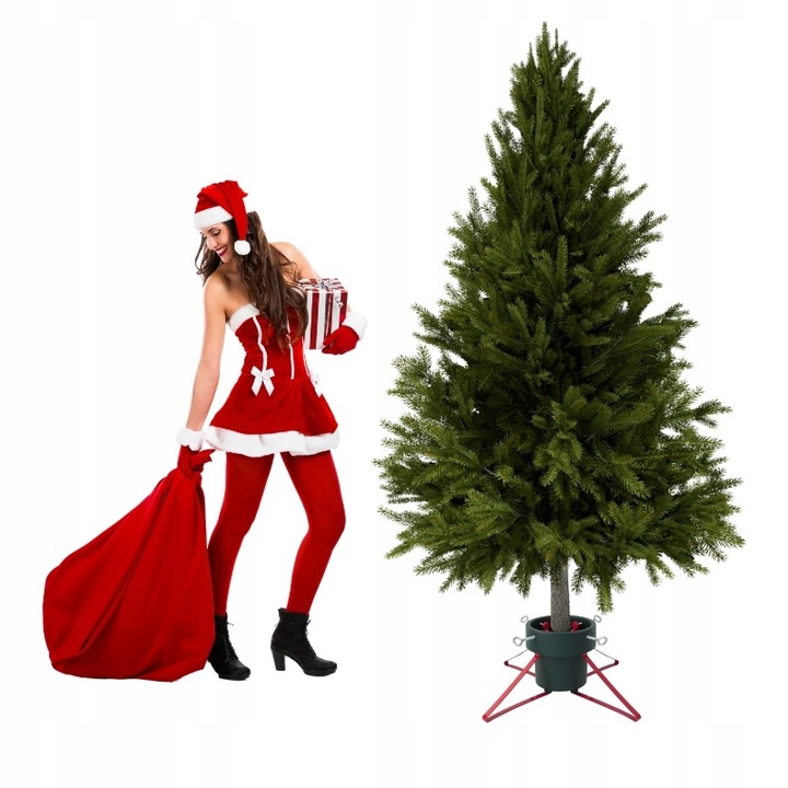 Stojak na choinkę DUŻY POJEMNIK NA WODĘ podstawka pod drzewko 2,5m STABILNY