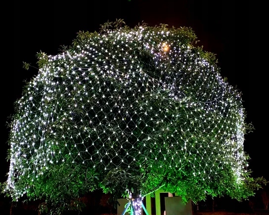 Siatka LED BIAŁA ZIMNA LAMPKI choinkowe KURTYNA 2,5x2,5m 230V