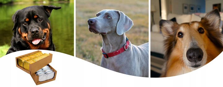 Karma Mokra dla Psa Tacka duży Pakiet Ekonomiczny 36 szt. x 300g 10,8 kg