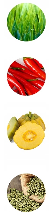 BURN BOOSTER reduktor tkanki tłuszczowej