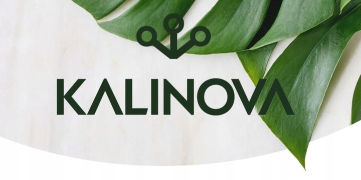 NEEMAZAL TS Owadobójczy 3ml + Żółte lepy 12szt. na Ziemiórki Mszyce