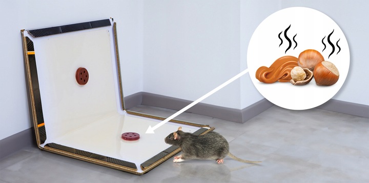 10 X LEP NA MYSZY STRONG ZESTAW SKŁADANYCH PUŁAPEK LEPOWYCH SILNIE WABIĄCE