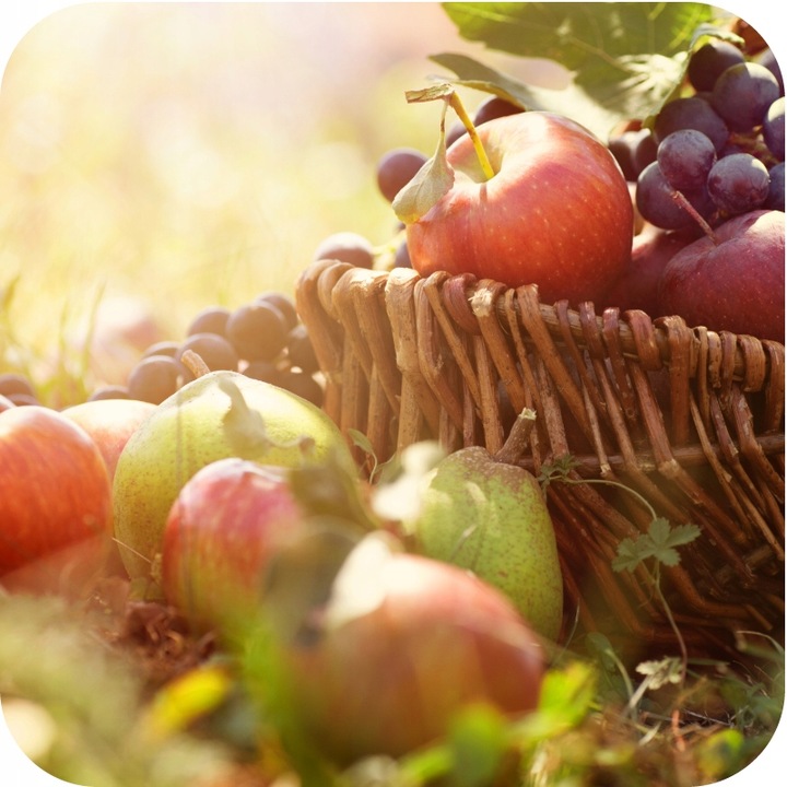 FruktoVit Plus Nawóz uniwersalny granulowany ogrodniczy 5kg ZDROWE ROŚLINY