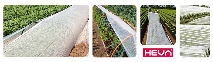 Agrowłóknina biała otulina okryciowa HEVA 1,6x50m 17g wiosenna zimowa UV2%