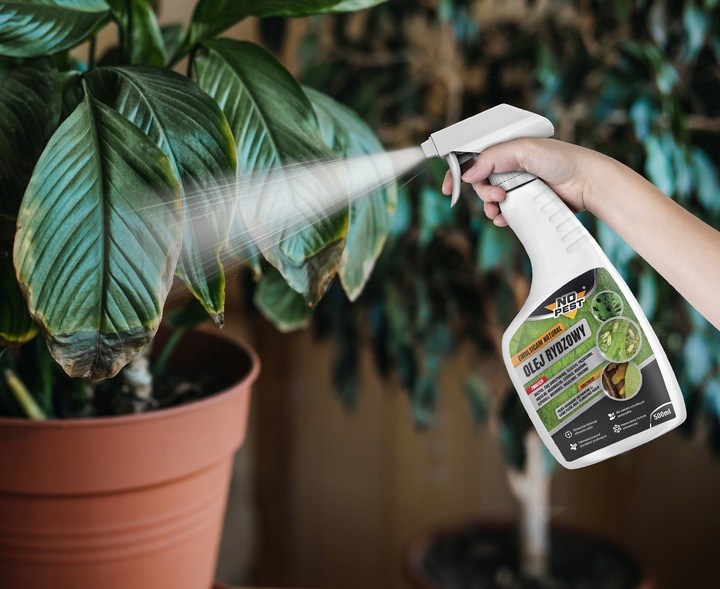 OLEJ RYDZOWY PREPARAT PŁYN NA MSZYCE ĆMĘ PRZĘDZIORKI NO PEST 500ML (3 SZT)