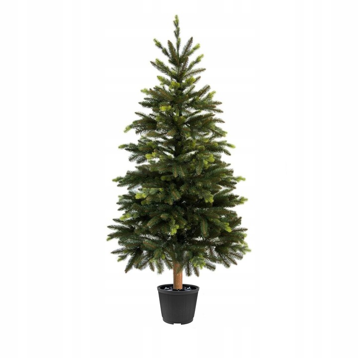 STOJAK POD CHOINKĘ - DONICA GRAFIT - LBS CH DON G UN