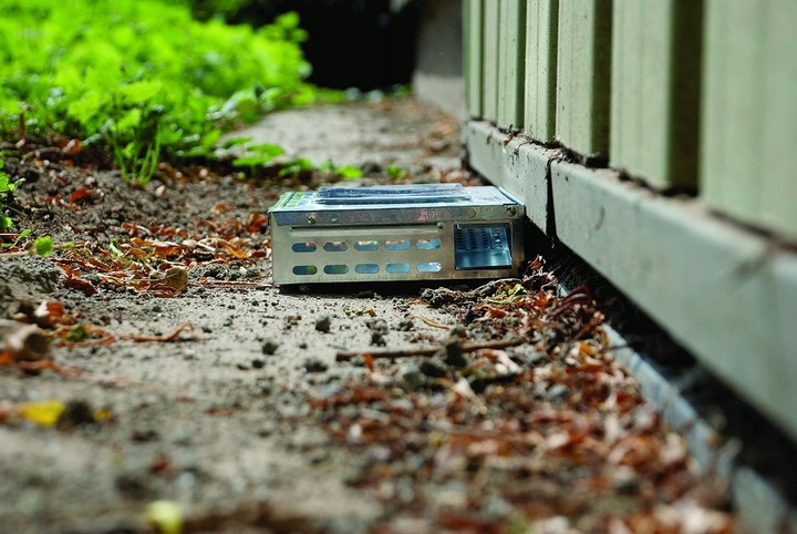 Pułapka Na Myszy Szczury Gryzonie Łapka Żywołapka Myszołapka Humanitarna