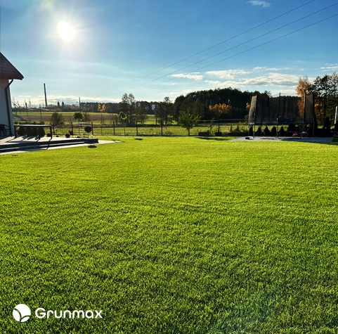 GRUNMAX - Green expert wiosenny nawóz do trawy, trawnika , PREMIUM 20kg