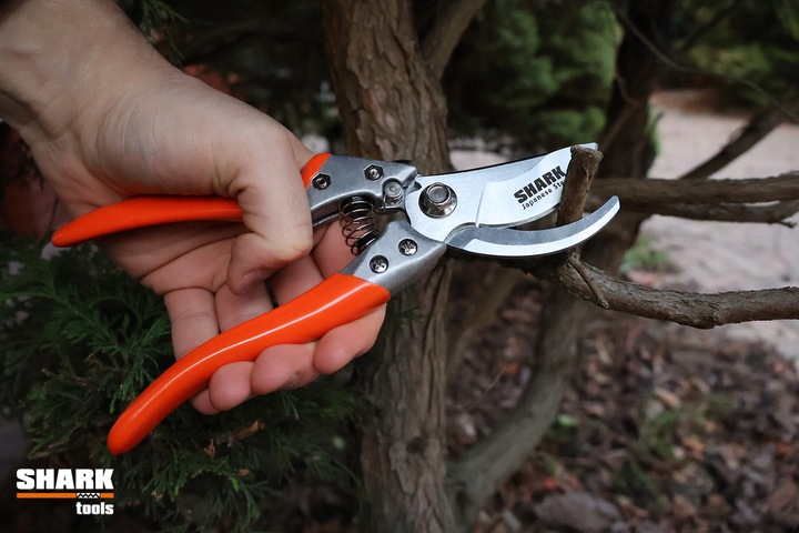 SEKATOR DO GAŁĘZI RĘCZNY NOŻYCOWY Shark G1 ogrodowy do cięcia 22 cm