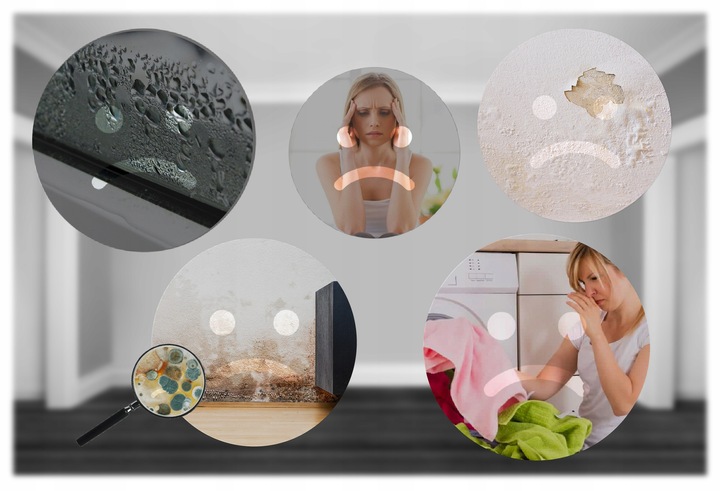 OSUSZACZ POWIETRZA POCHŁANIACZ WILGOCI DUŻY CICHY MOCNY 2200ML 90W