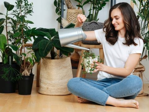 CANNA Terra Flores 1l nawóz do fazy kwitnienia rośliny