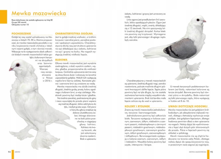 ZESTAW KSIĄŻEK O GOŁĘBIACH ATLAS GOŁĘBI POLSKIE RASY I GOŁĘBIE BARWNE 148