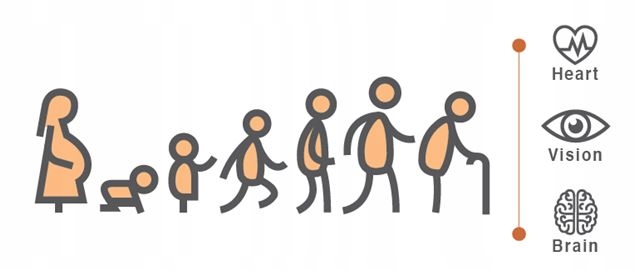 Aliness Vegan Omega 3 FORTE DHA 500mg SERCE 60kap