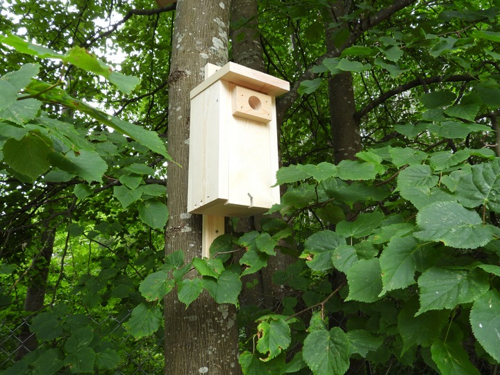 Budka lęgowa dla ptaków typ A wróbel sikorka budki lęgowe