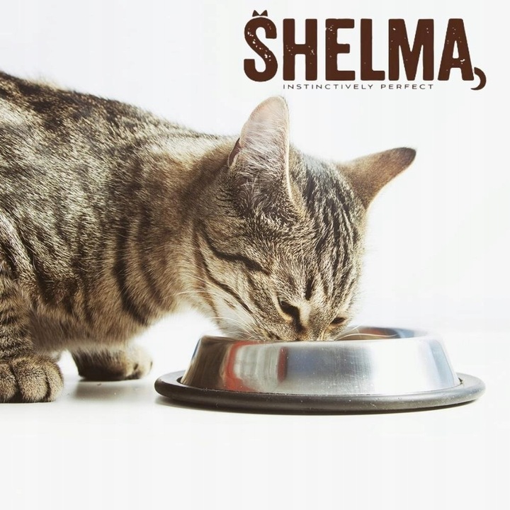 MOKRA KARMA DLA KOTA SHELMA MEGA BOX 40X85G FILECIKI MIX 4 SMAKÓW BEZ ZBÓŻ