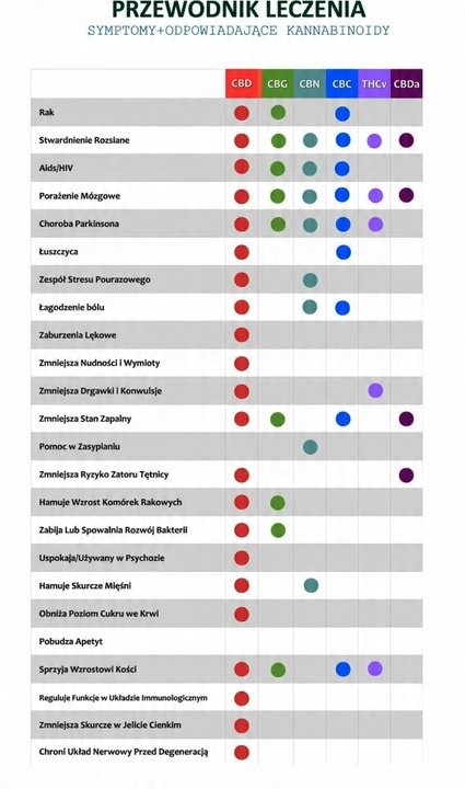 CBD 15% Broad Spectrum OLEJEK KONOPNY DLA PSÓW PSA KOTÓW KOTA OD PRODUCENTA