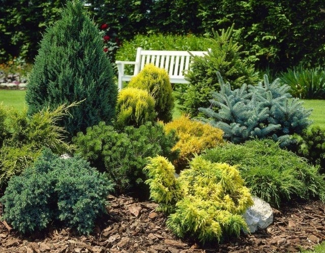 SUBSTRAL 100dni DO IGLAKÓW 10kg NAWÓZ TUJE BORÓWKI