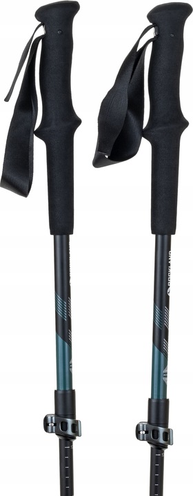 KIJE TREKKINGOWE Access Lite Carbon Rockland