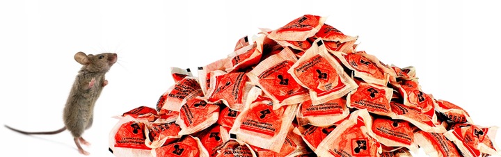 STRONG TRUTKA PASTA na GRYZONIE 3 kg bromadiolon