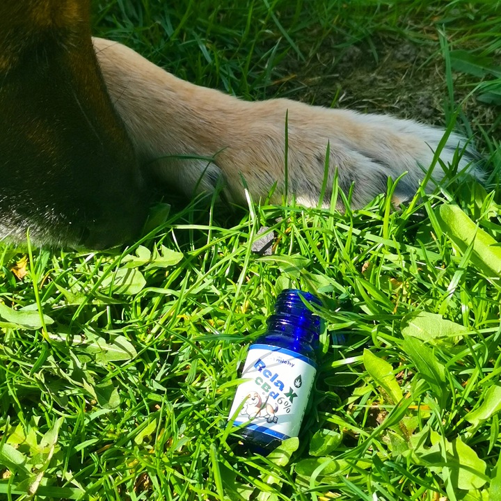 Olej Do michy RelaX CBD 6% dla psa i kota 10ml THC-0% (bezpieczny)