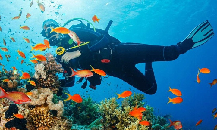 Aparat EASYPIX Aquapix W3048 Edge Fioletowy