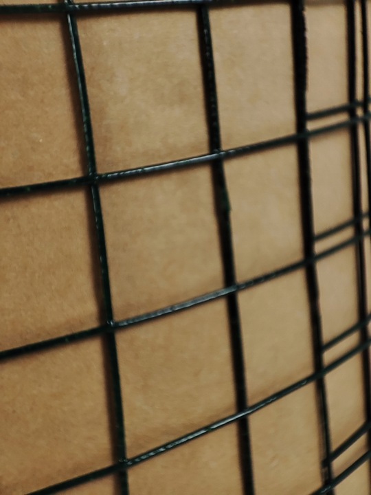 Siatka hodowlana zgrzewana PCV oczko 13mm x 13mm - 25m