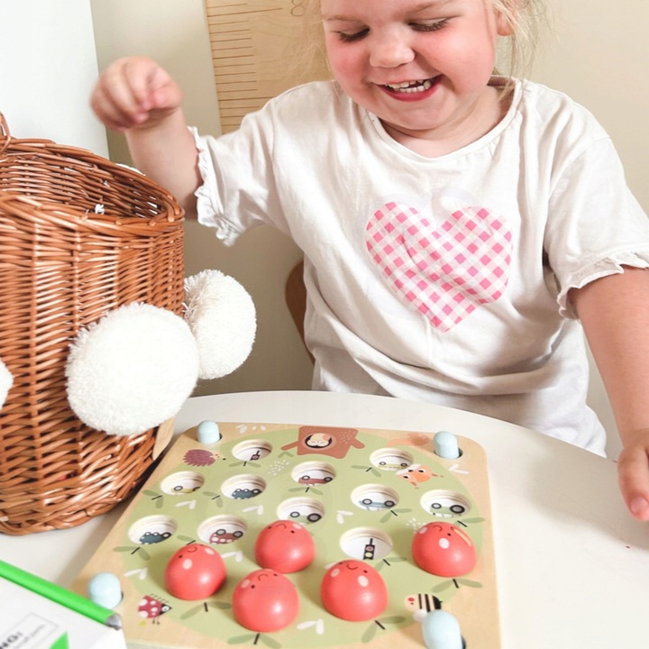 MEMORY GRA PAMIĘCIOWA JABŁUSZKA EDUKACYJNA ZNAJDŹ OBRAZEK GAME TOOKY TOY