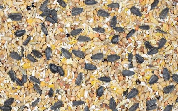 Karma NIOSKA SYPKA Kokoszka Babuni Kampol drób