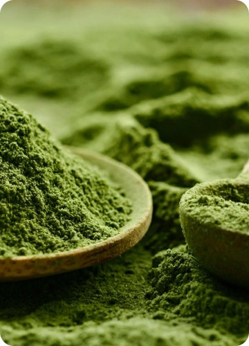 BIO Jęczmień 300 g + BIO Chlorella 110 g Green Ways