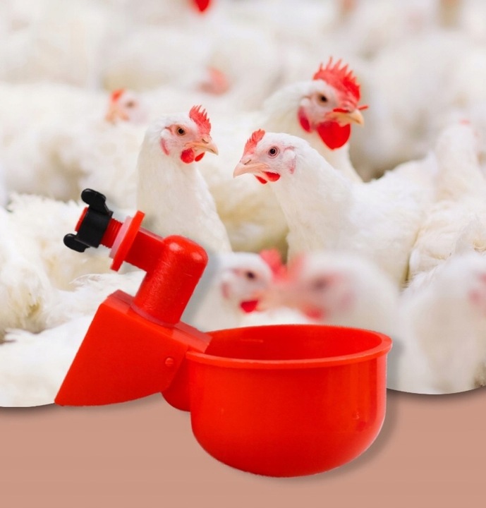 16x AUTOMATYCZNE POIDŁO POIDEŁKO DO WIADRA DLA DROBIU WIERTŁO GRATIS