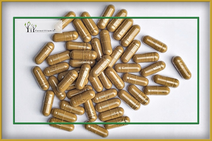 Soplówka Jeżowata 500mg 60kap LION'S MANE PAMIĘĆ MÓZG KONCENTRACJA