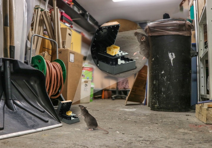 5x SILNA ŁAPKA PUŁAPKA NA SZCZURY I MYSZY GILOTYNA DUŻA SIŁA MECHANIZMU