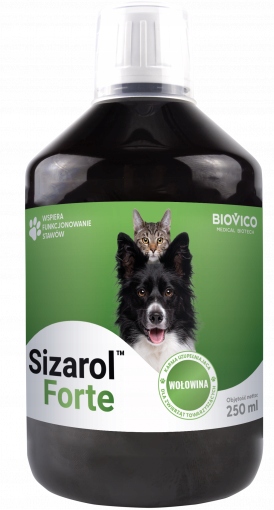Biovico Sizarol Complex Forte 250ml na Stawy Psów