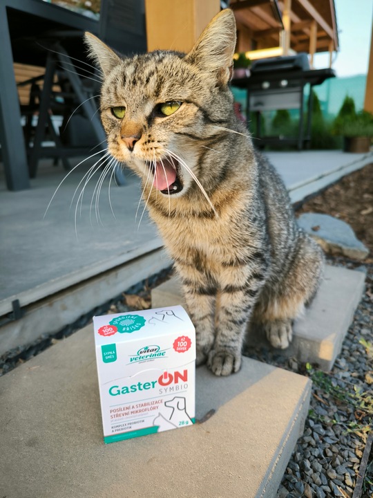 VITAR Veterinae GasterON SYMBIO - probiotyki i prebiotyki - aż 100 dawek