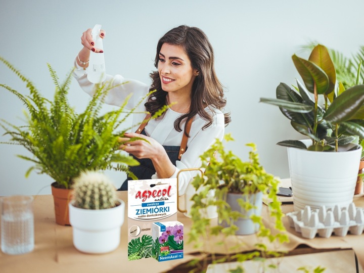 NEEMAZAL TS Owadobójczy 3ml + Żółte lepy 12szt. na Ziemiórki Mszyce