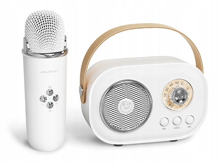 MIKROFON BEZPRZEWODOWY KARAOKE GŁOŚNIK BLUETOOTH RETRO DLA DZIECI PREZENT