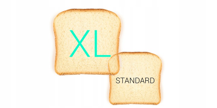 Toster opiekacz TOSTY XL 750 W First Austria