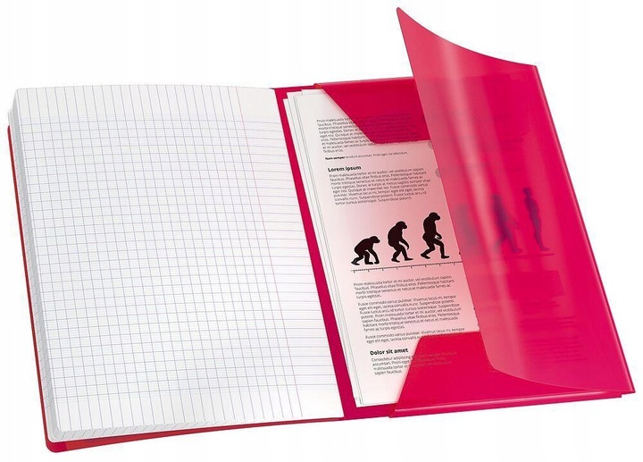 Zeszyt z okładką PP A4 60 kartek w kratkę OXFORD Easybook ZESTAW 8 kolorów