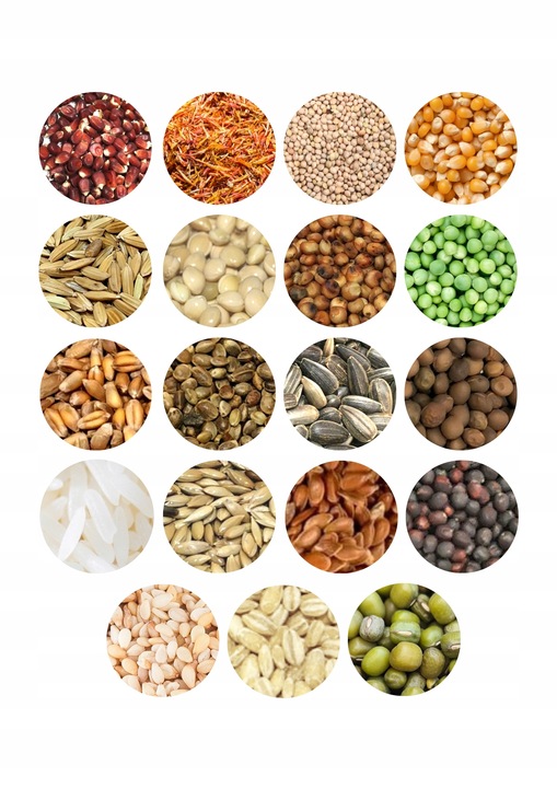 Karma dla gołębi STANDARD S Kampol 25kg