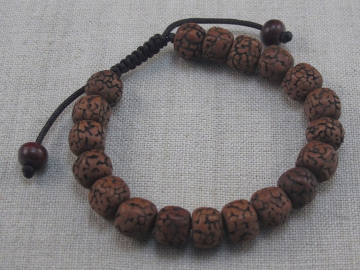 BRANSOLETA mala buddyjska RUDRAKSHA nasiona [B745]