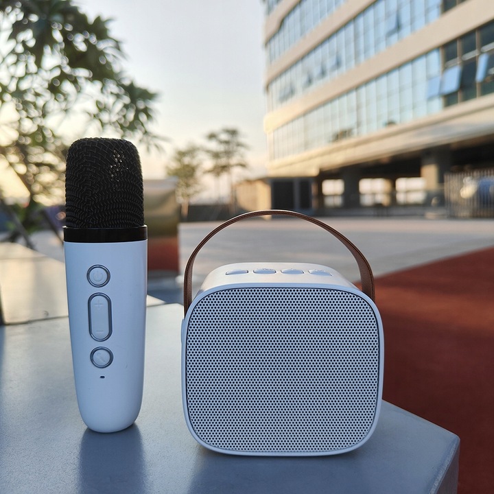 MIKROFON BEZPRZEWODOWY KARAOKE GŁOŚNIKIEM BLUETOOTH GŁOŚNIK Z KOLOROWYM LED