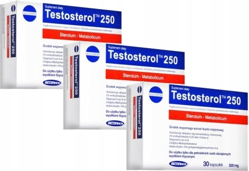 Megabol Silny Testosterol 250 90 kapsułek