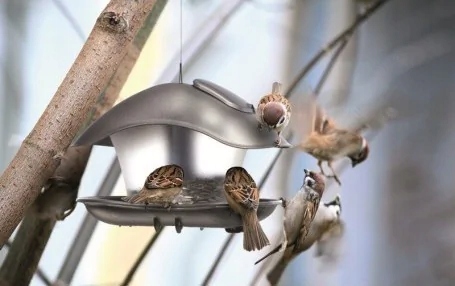 Karmnik dla ptaków BIRDYFEED SQUARE-szary kamienny
