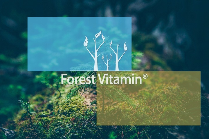 Kwas Hialuronowy W PROSZKU 50g ZDROWE STAWY SKÓRA KOŚCI ZMARSZCZKI