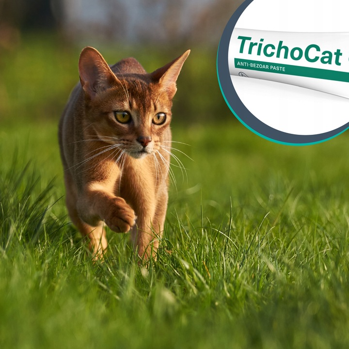 Pasta odkłaczająca dla kotów preparat odkłaczanie Vet Expert Trichocat 120g